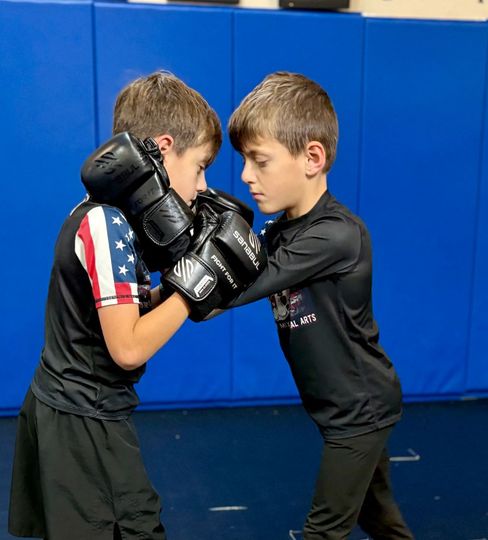 Kids Mixed Martial Arts