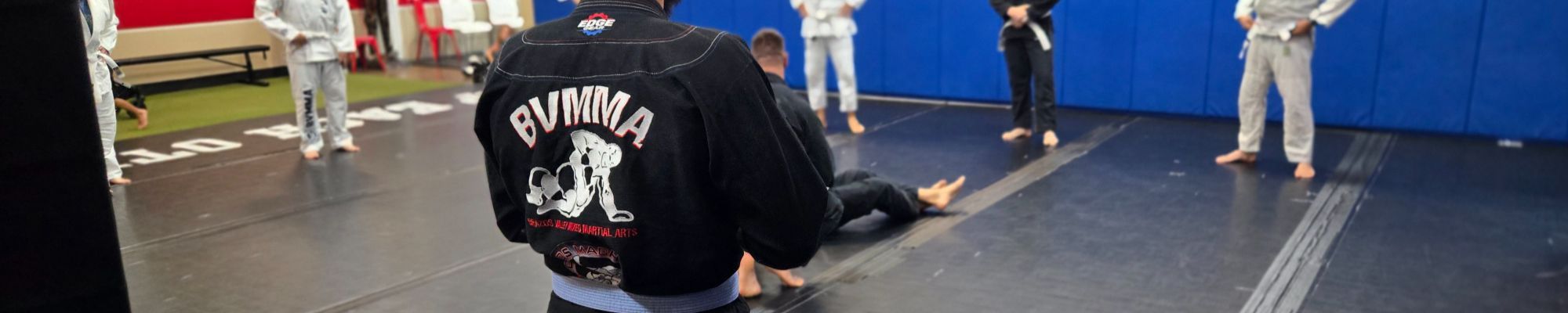 Brazilian Jiu-Jitsu training